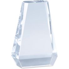Picture of Altitude Trident Award
