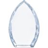 Picture of Altitude Trident Award