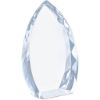Picture of Altitude Trident Award