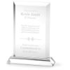 Picture of Altitude Allstar Award
