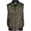 Picture of Mens Aurora Bodywarmer