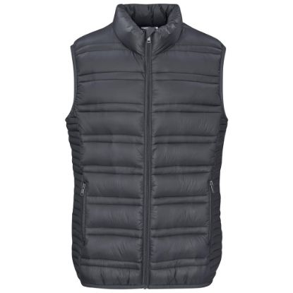 Picture of Ladies Aurora Bodywarmer