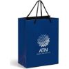 Picture of Altitude Dazzle Midi Paper Gift Bag