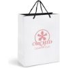 Picture of Altitude Dazzle Maxi Paper Gift Bag
