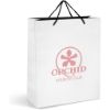Picture of Altitude Omega Mini Paper Gift Bag