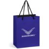 Picture of Altitude Omega Mini Paper Gift Bag