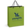 Picture of Altitude Omega Mini Paper Gift Bag