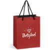 Picture of Altitude Omega Midi Paper Gift Bag