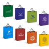 Picture of Altitude Omega Midi Paper Gift Bag