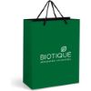 Picture of Altitude Omega Midi Paper Gift Bag