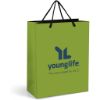 Picture of Altitude Omega Midi Paper Gift Bag