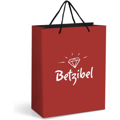 Picture of Altitude Omega Maxi Paper Gift Bag