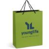 Picture of Altitude Omega Maxi Paper Gift Bag