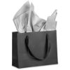 Picture of Altitude Ritz Mini Paper Gift Bag