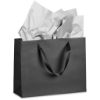 Picture of Altitude Ritz Midi Paper Gift Bag