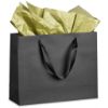 Picture of Altitude Ritz Maxi Paper Gift Bag