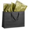 Picture of Altitude Ritz Maxi Paper Gift Bag