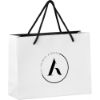 Picture of Altitude Majesty Midi Paper Gift Bag