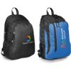 Picture of Cobalt Backpack