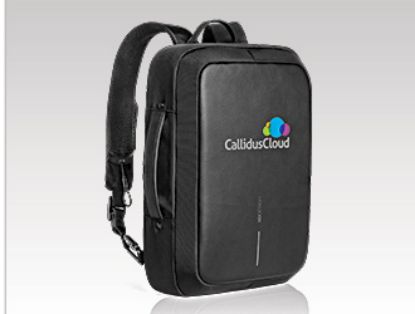 Picture of Swiss Cougar Palencia Anti-Theft Laptop Backpack