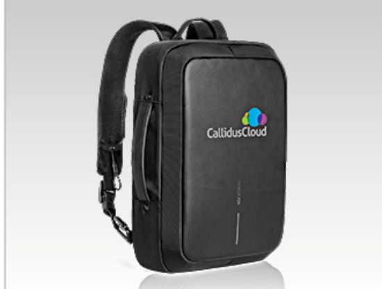 Picture of Swiss Cougar Palencia Anti-Theft Laptop Backpack